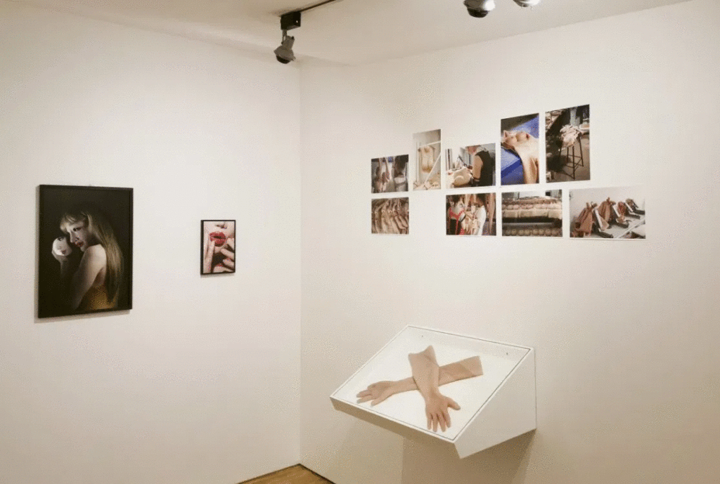 Agata Wieczorek, Fetish of the Image, Boutographies