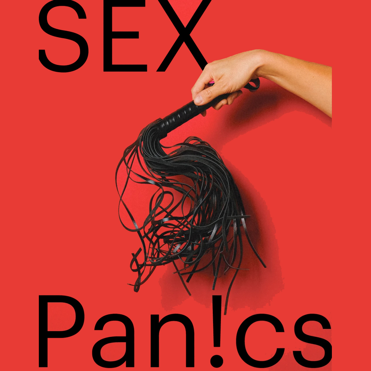 <strong>Sex Panics! Conference</strong>